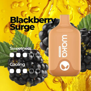WAKA SMASH 6000 PUFF – BLACKBERRY SURGE 