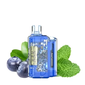 blueberry mint iget flare b10000 puffs 300x300 1.webp